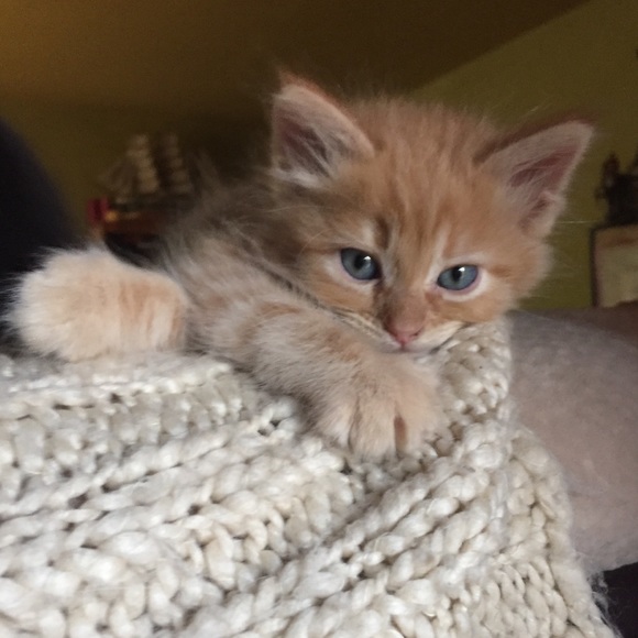 We Didn’t Win Our War With Cancer - Picture 2 of 8